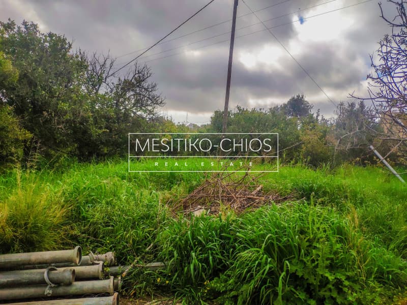 Building Plot in Kampochoria, Chios — Photo 6 of 12