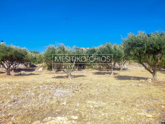 Building Plot in Chios town, Chios — Photo 12 of 22