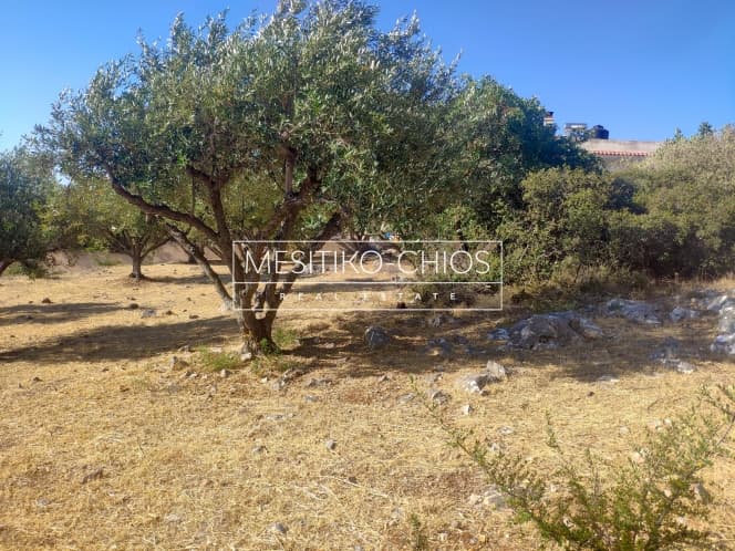 Building Plot in Chios town, Chios — Photo 6 of 22