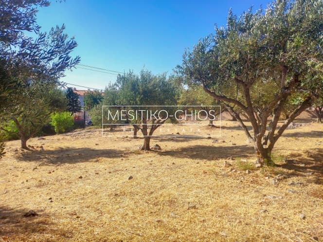 Building Plot in Chios town, Chios — Photo 7 of 22