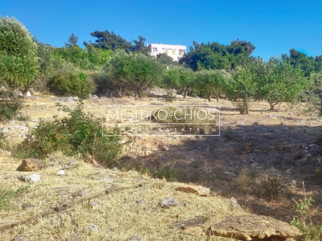 Building Plot in Chios town, Chios — Photo 19 of 22