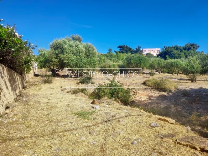 Building Plot in Chios town, Chios — Photo 13 of 22