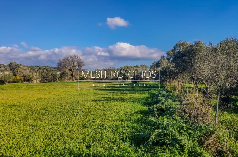 House in Agios Minas, Chios — Photo 19 of 25
