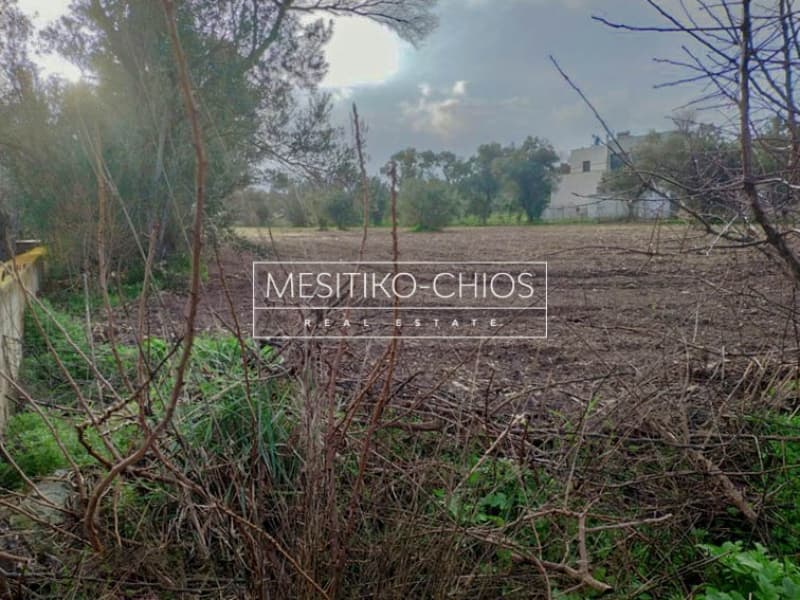 Οικόπεδο στην Καμποχώρια, Χίος — Φωτογραφία 13 από 27