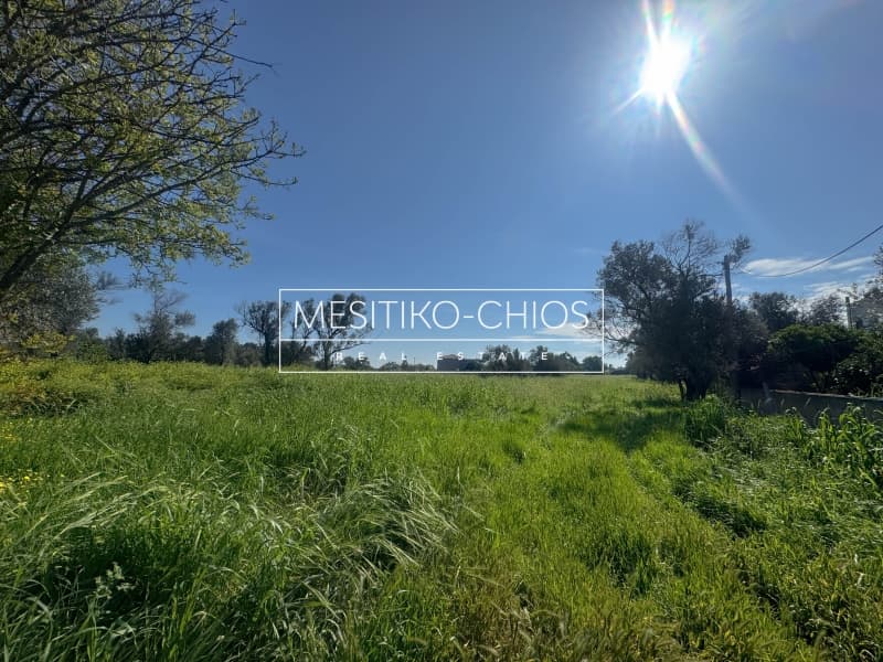 Οικόπεδο στην Καμποχώρια, Χίος — Φωτογραφία 1 από 27