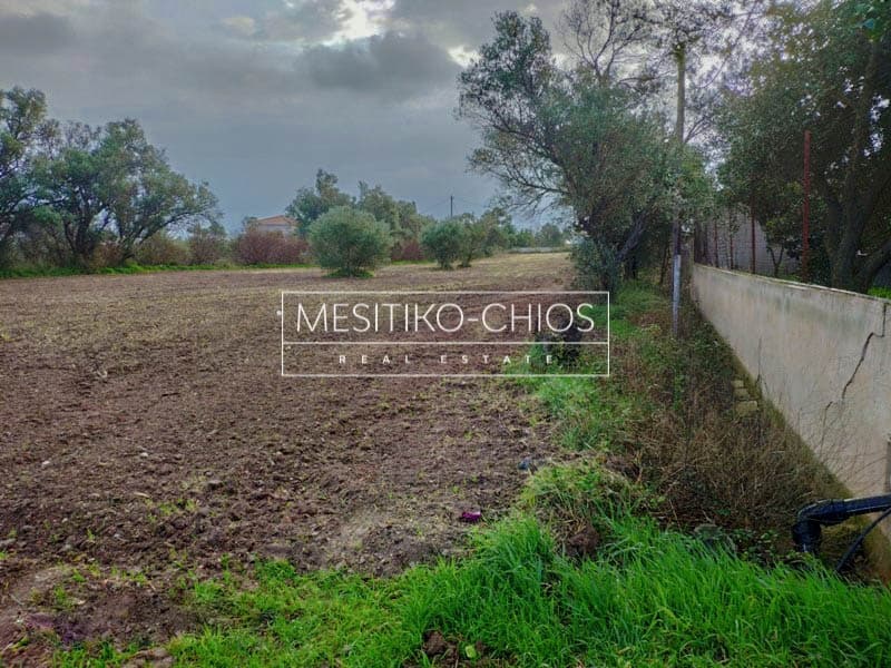 Οικόπεδο στην Καμποχώρια, Χίος — Φωτογραφία 10 από 27