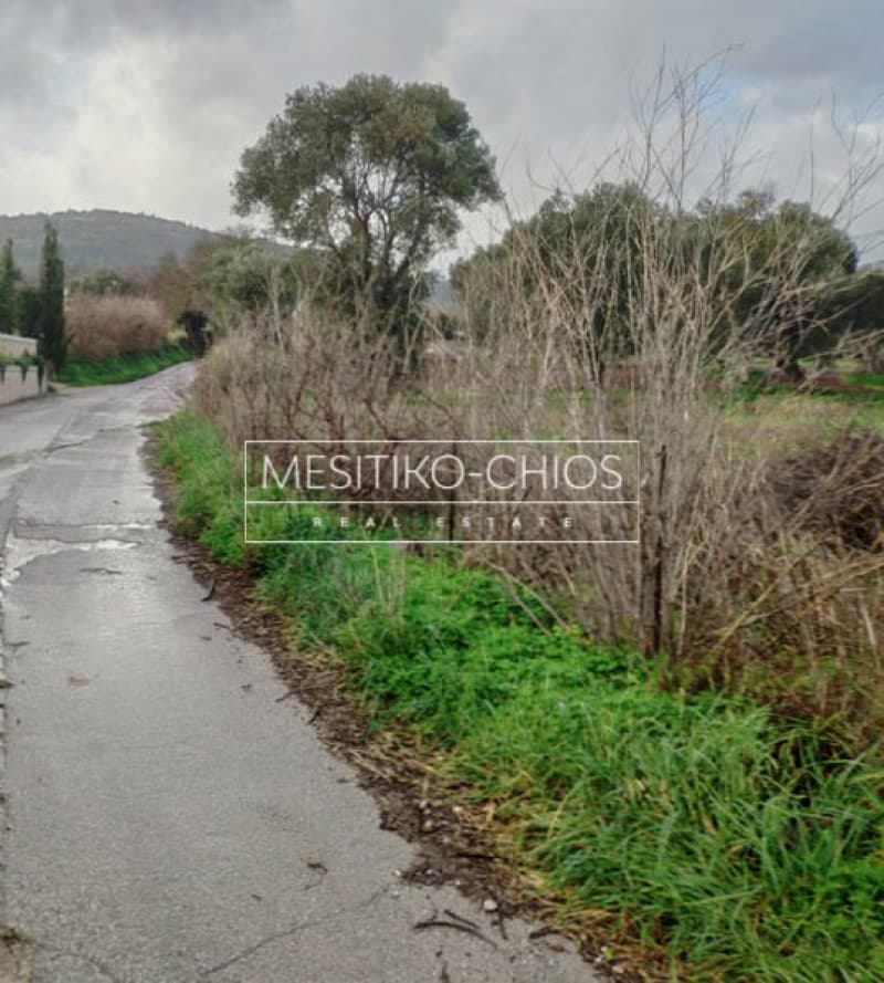 Οικόπεδο στην Καμποχώρια, Χίος — Φωτογραφία 18 από 27