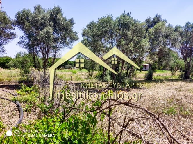 Οικόπεδο στην Άγιος Μηνάς, Χίος — Φωτογραφία 6 από 7
