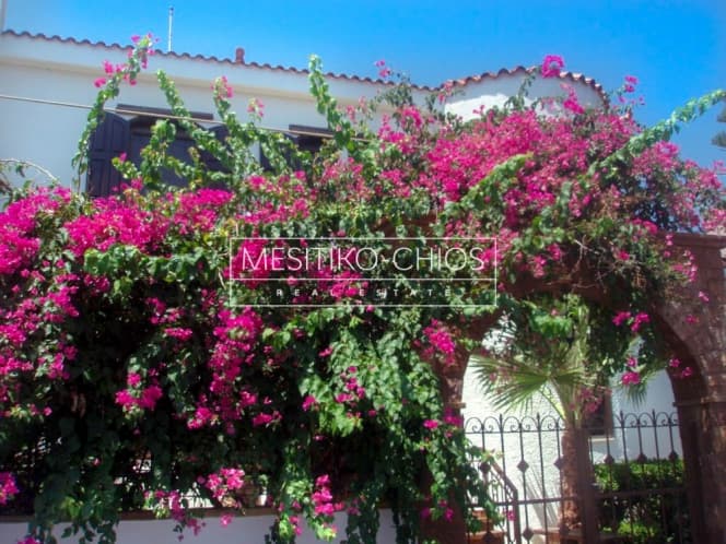 House in Agios Minas, Chios — Photo 3 of 27