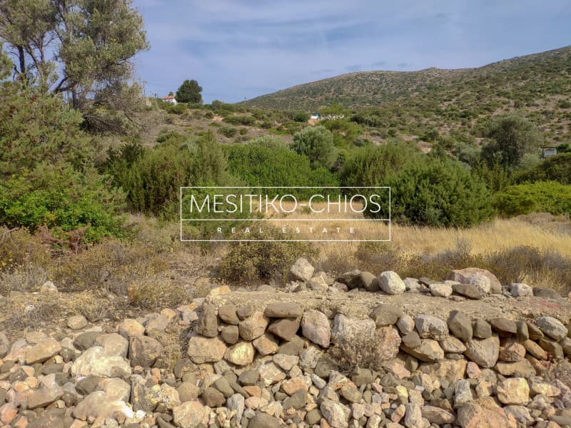 Οικόπεδο στην Μαστιχοχώρια, Χίος — Φωτογραφία 8 από 19