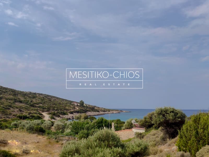 Οικόπεδο στην Μαστιχοχώρια, Χίος — Φωτογραφία 12 από 19
