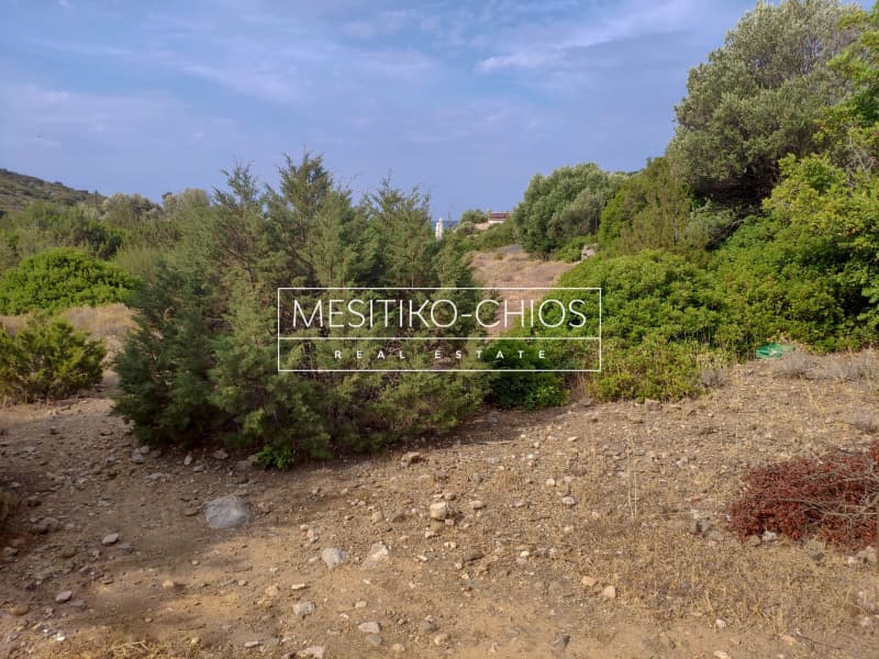 Οικόπεδο στην Μαστιχοχώρια, Χίος — Φωτογραφία 4 από 19