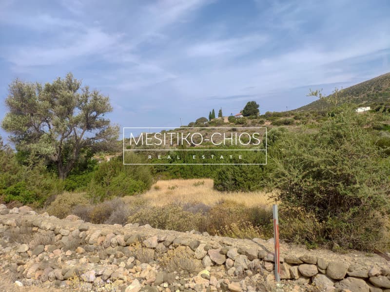 Οικόπεδο στην Μαστιχοχώρια, Χίος — Φωτογραφία 13 από 19