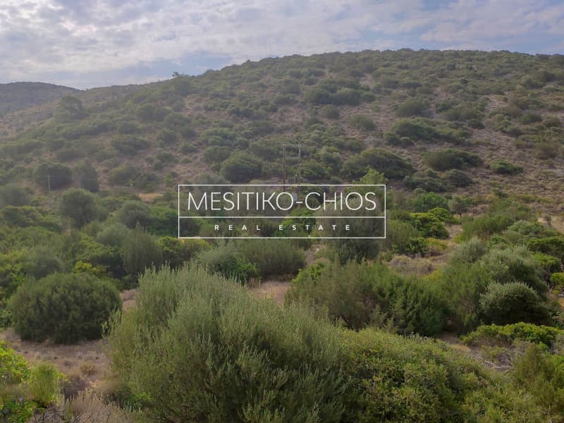 Οικόπεδο στην Μαστιχοχώρια, Χίος — Φωτογραφία 10 από 19