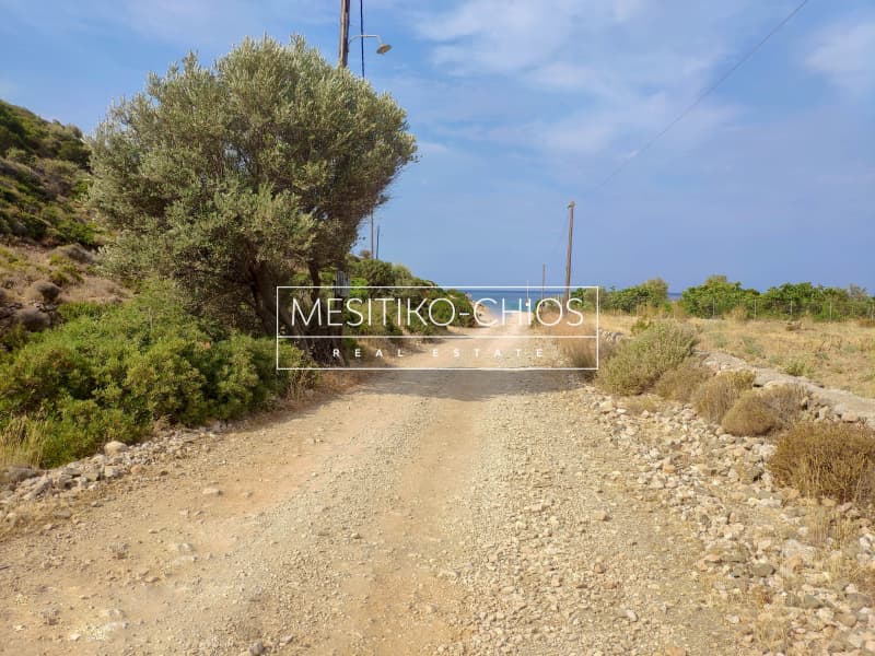 Οικόπεδο στην Μαστιχοχώρια, Χίος — Φωτογραφία 14 από 19
