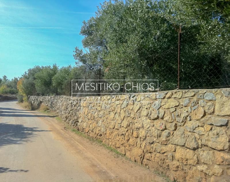 Οικόπεδο στην Πόλη Χίου, Χίος — Φωτογραφία 1 από 5