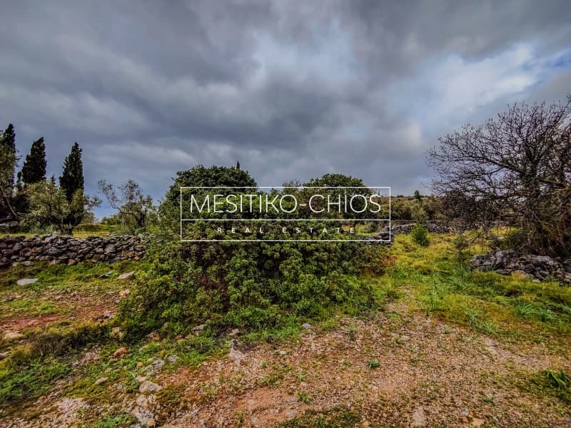 Οικόπεδο στην Πόλη Χίου, Χίος — Φωτογραφία 2 από 23