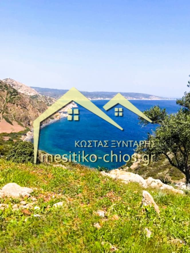 Οικόπεδο στην Μαστιχοχώρια, Χίος — Φωτογραφία 4 από 21
