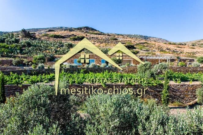 Οικόπεδο στην Μαστιχοχώρια, Χίος — Φωτογραφία 17 από 21