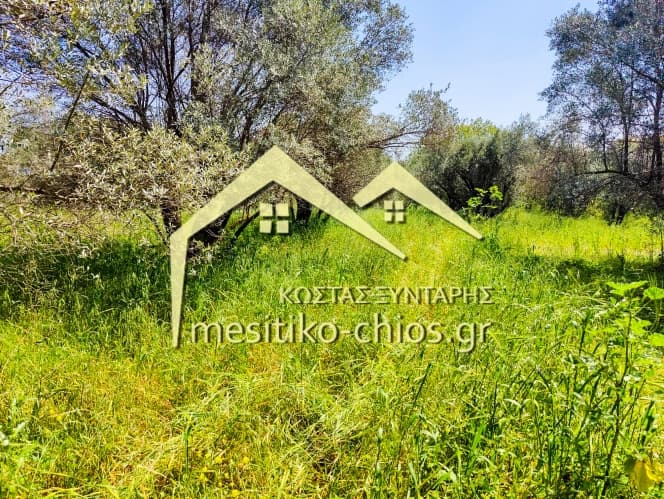 Οικόπεδο στην Άγιος Μηνάς, Χίος — Φωτογραφία 7 από 10
