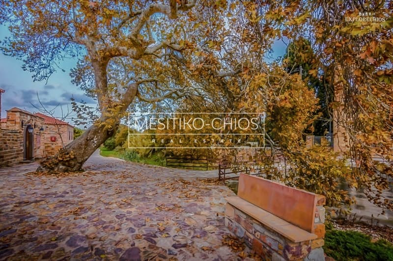 Ξενοδοχείο στην Άγιος Μηνάς, Χίος — Φωτογραφία 23 από 23