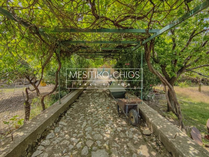 Οικόπεδο στην Πόλη Χίου, Χίος — Φωτογραφία 8 από 26
