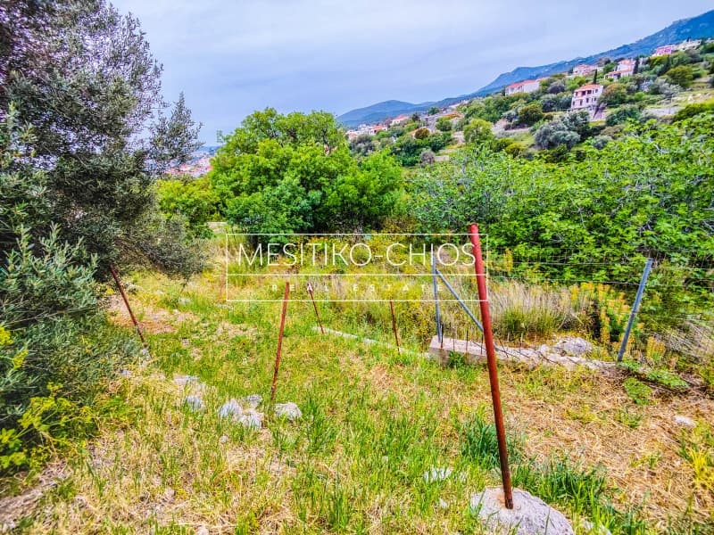 Οικόπεδο στην Πόλη Χίου, Χίος — Φωτογραφία 12 από 17