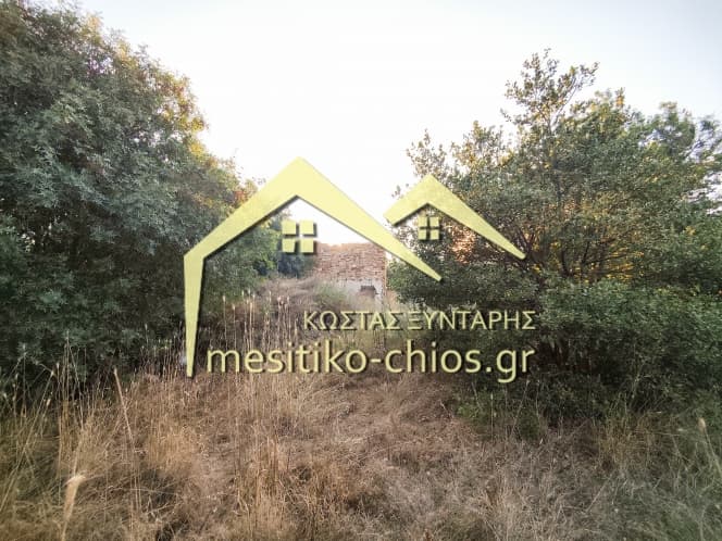 Οικόπεδο στην Άγιος Μηνάς, Χίος — Φωτογραφία 9 από 13
