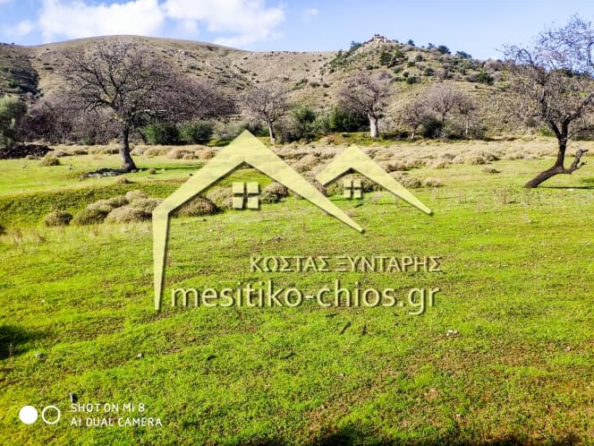 Οικόπεδο στην Πόλη Χίου, Χίος — Φωτογραφία 2 από 6