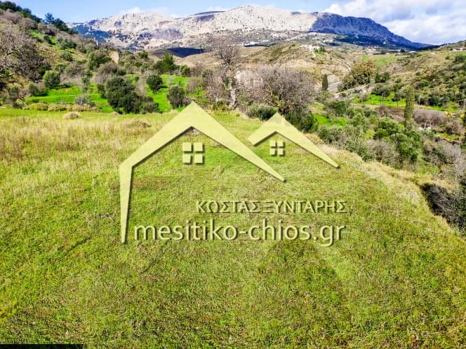 Οικόπεδο στην Πόλη Χίου, Χίος — Φωτογραφία 4 από 6