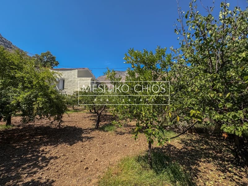 House in Kardamila, Oinousses — Photo 9 of 26