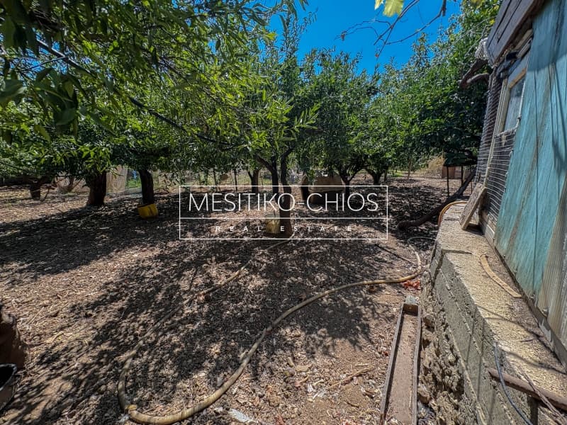 House in Kardamila, Oinousses — Photo 5 of 26