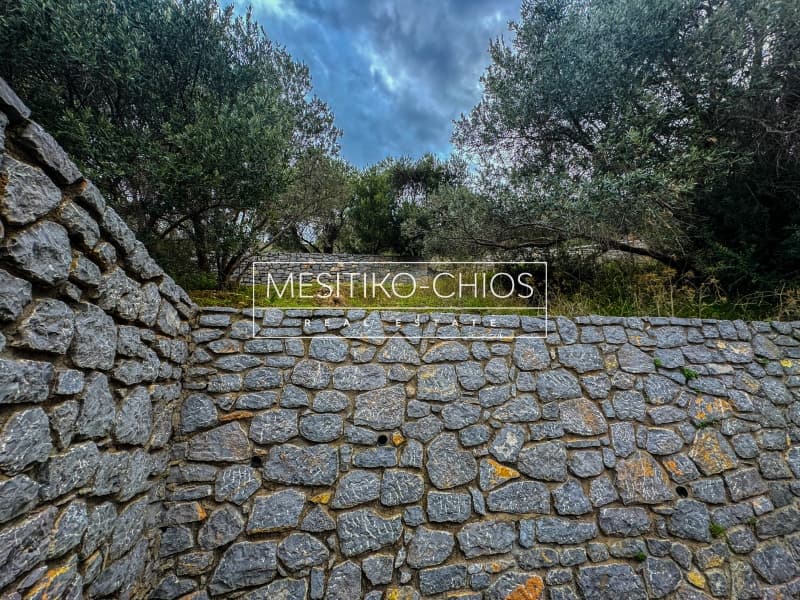 Οικόπεδο στην Πόλη Χίου, Χίος — Φωτογραφία 24 από 25