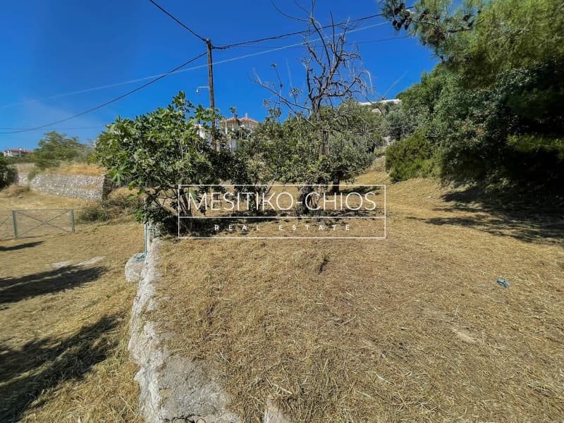 Οικόπεδο στην Πόλη Χίου, Χίος — Φωτογραφία 20 από 27