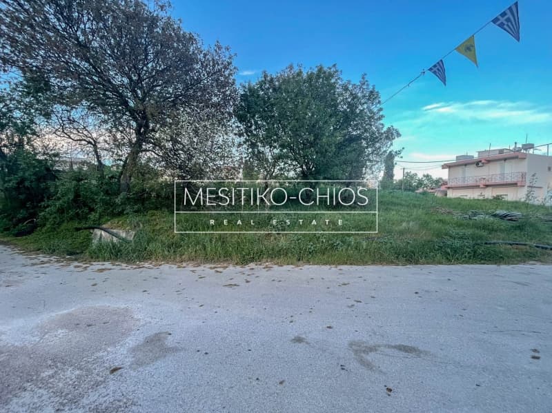 Οικόπεδο στην Καμποχώρια, Χίος — Φωτογραφία 4 από 12