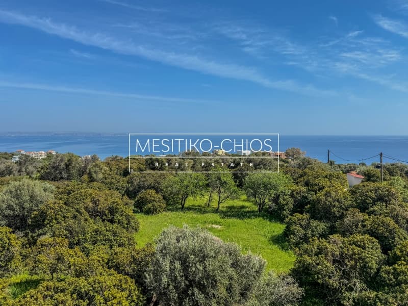 Μονοκατοικία στην Ιωνία, Χίος — Φωτογραφία 26 από 30