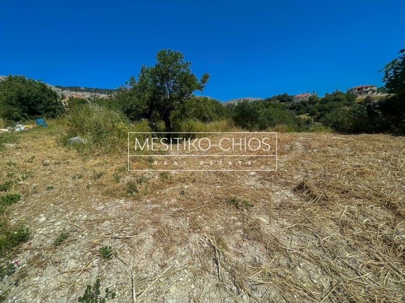 Οικόπεδο στην Πόλη Χίου, Χίος — Φωτογραφία 4 από 25