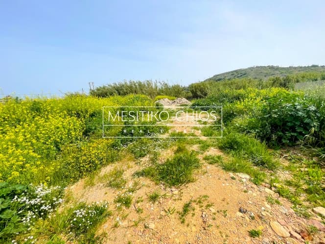 Οικόπεδο στην Άγιος Μηνάς, Χίος — Φωτογραφία 4 από 9
