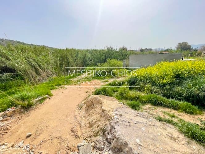 Οικόπεδο στην Άγιος Μηνάς, Χίος — Φωτογραφία 6 από 9