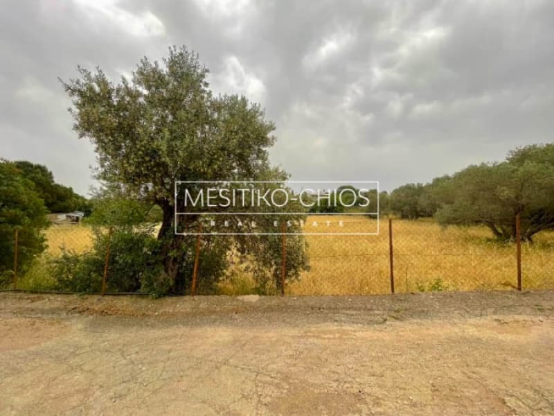 Οικόπεδο στην Πόλη Χίου, Χίος — Φωτογραφία 21 από 25
