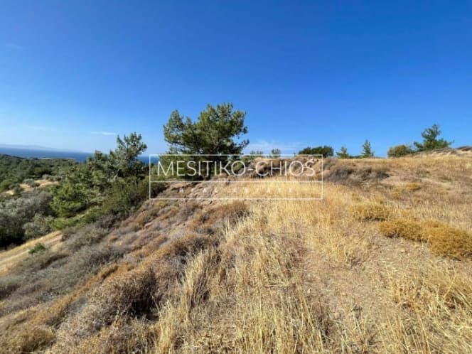 Οικόπεδο στην Αμάνη, Χίος — Φωτογραφία 18 από 25
