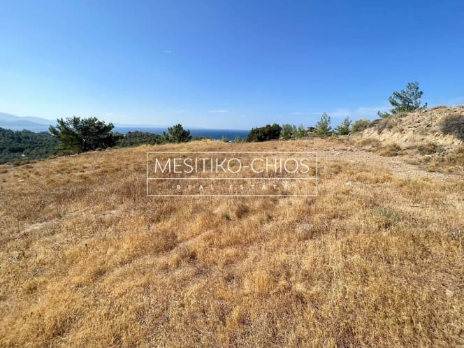 Οικόπεδο στην Αμάνη, Χίος — Φωτογραφία 9 από 25