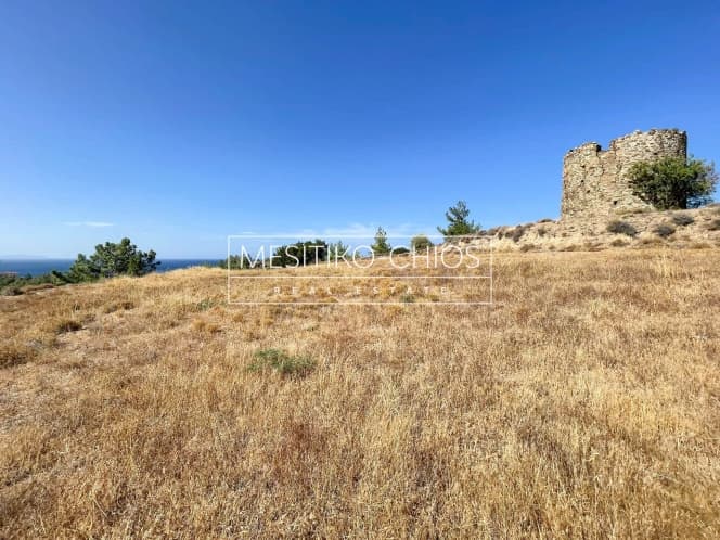 Οικόπεδο στην Αμάνη, Χίος — Φωτογραφία 3 από 25