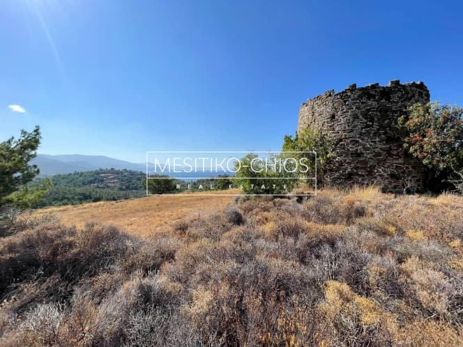Οικόπεδο στην Αμάνη, Χίος — Φωτογραφία 4 από 25