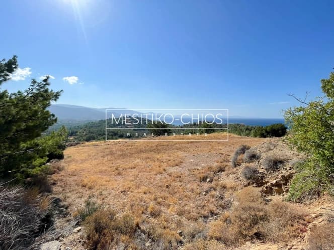Οικόπεδο στην Αμάνη, Χίος — Φωτογραφία 14 από 25