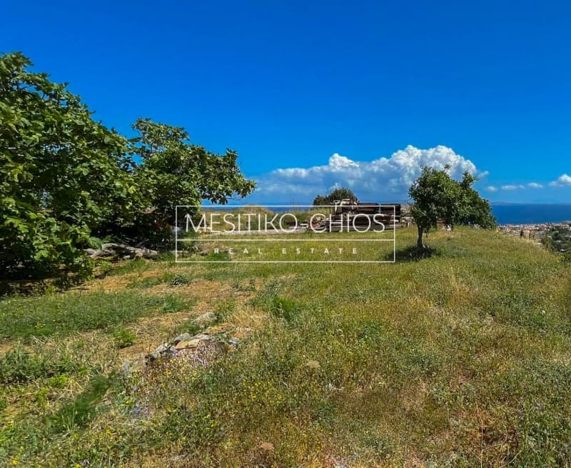 Οικόπεδο στην Πόλη Χίου, Χίος — Φωτογραφία 9 από 21