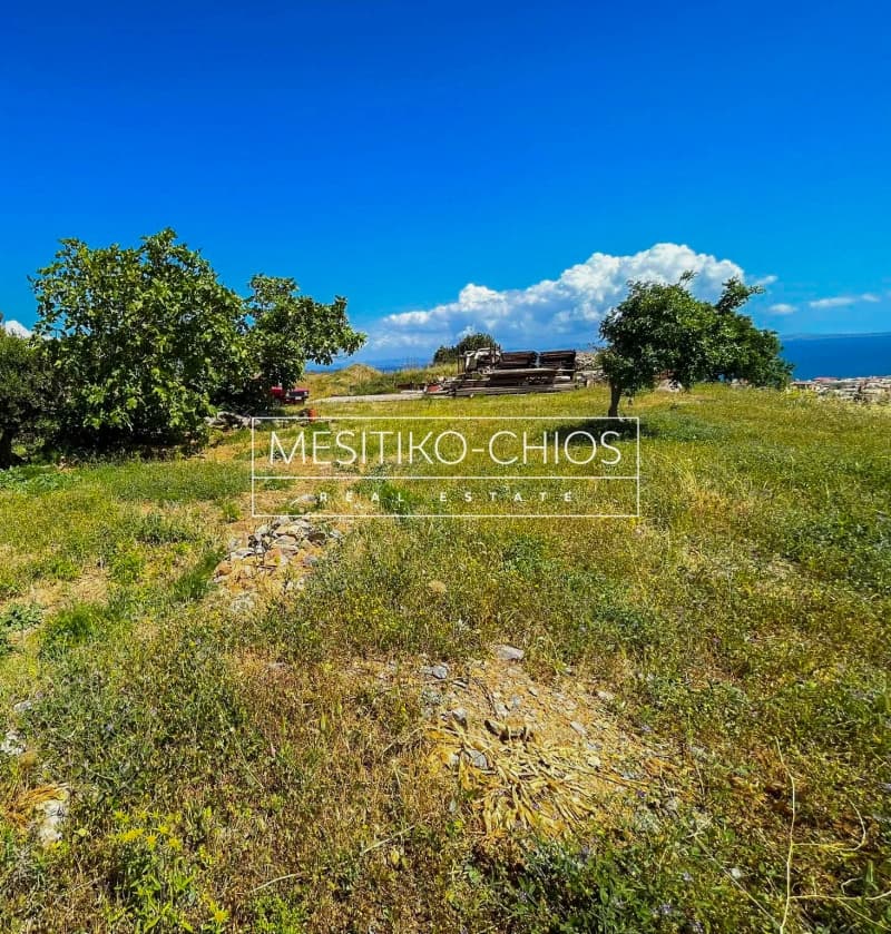 Οικόπεδο στην Πόλη Χίου, Χίος — Φωτογραφία 18 από 21