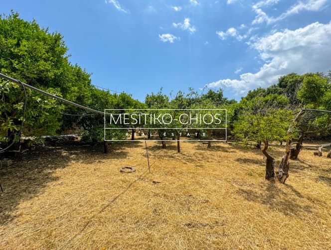 Οικόπεδο στην Πόλη Χίου, Χίος — Φωτογραφία 16 από 25