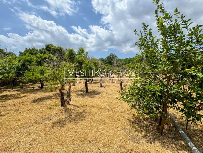 Οικόπεδο στην Πόλη Χίου, Χίος — Φωτογραφία 17 από 25