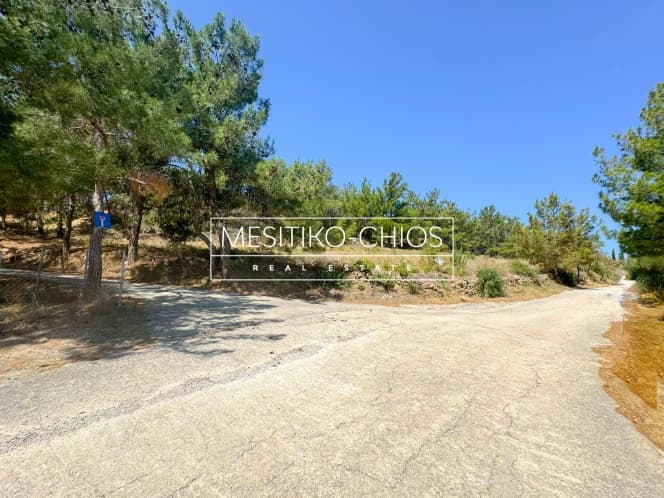 Οικόπεδο στην Αμάνη, Χίος — Φωτογραφία 15 από 15